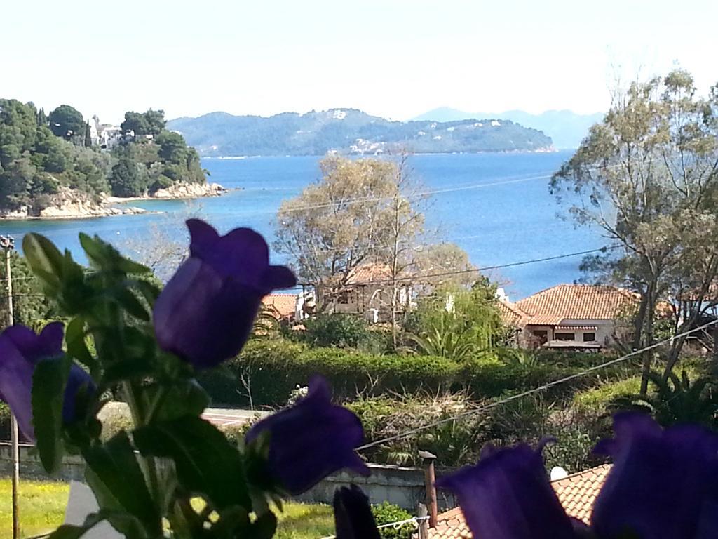 Tzaneria Apartments Skiathos Kanapitsa  Buitenkant foto